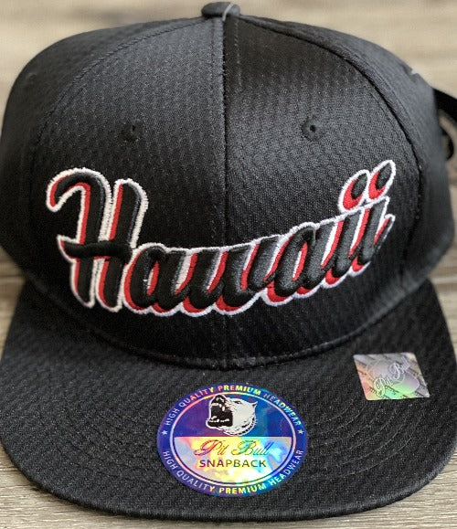 Hawaii Hat 3